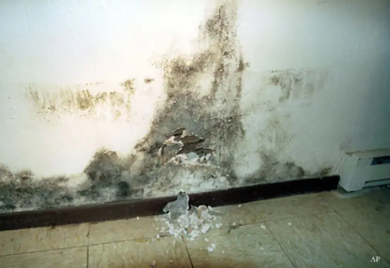 Auch-Feuchtigkeit-im-Keller-kann-mit-10-Prozent-veranschlagt-werden-AG-Bad-Bramstedt-WM-90-71