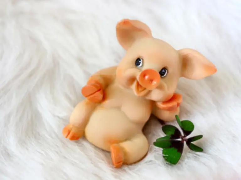 und-Schweine