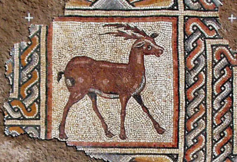 Auch-Rehe-lieferten-in-biblischer-Zeit-gutes-Fleisch