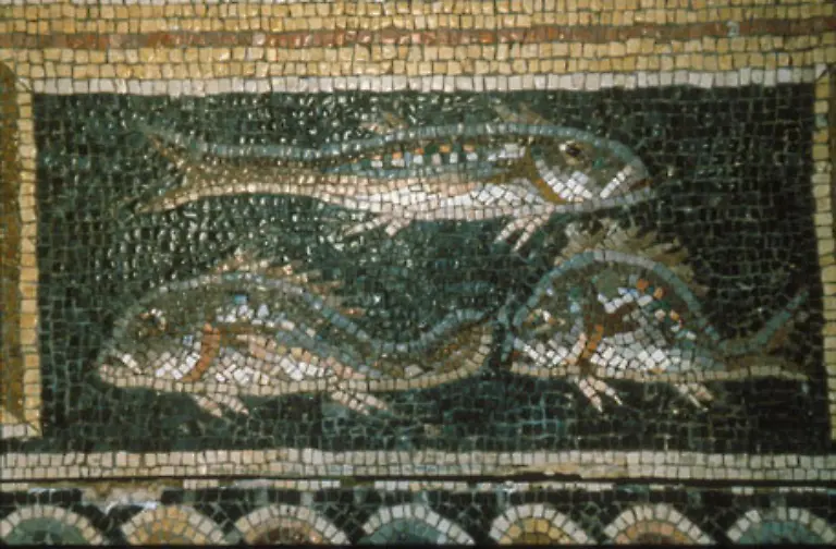 Da-gab-es-guten-Fisch-oder