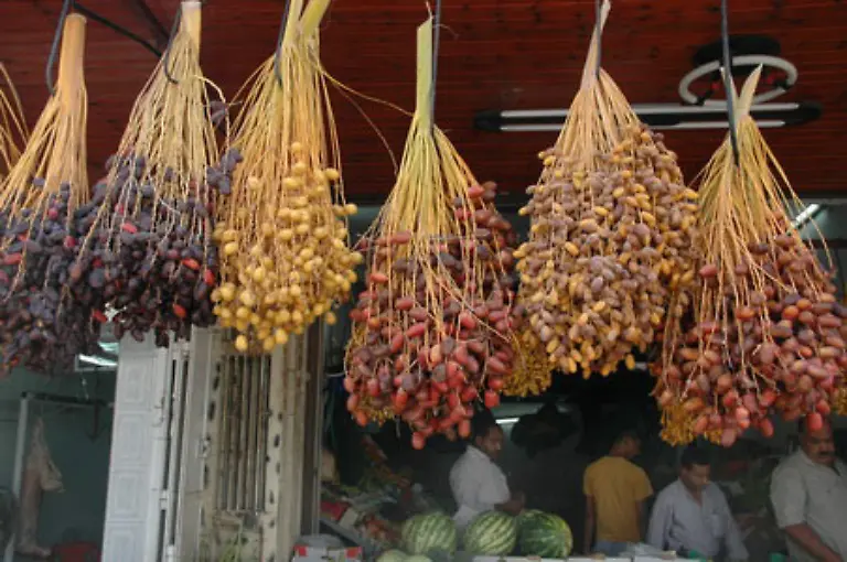 Typische-Landesfrucht-ist-seit-jeher-die-Dattel-hier-auf-dem-Markt-in-Jericho