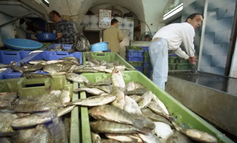 Frischen-Fisch-gibt-es-in-Nazareth