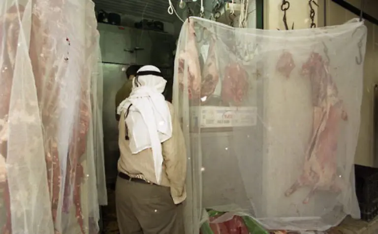 Das-Fleisch-ist-im-Sommer-gegen-Fliegen-mit-Moskitonetzen-verhaengt