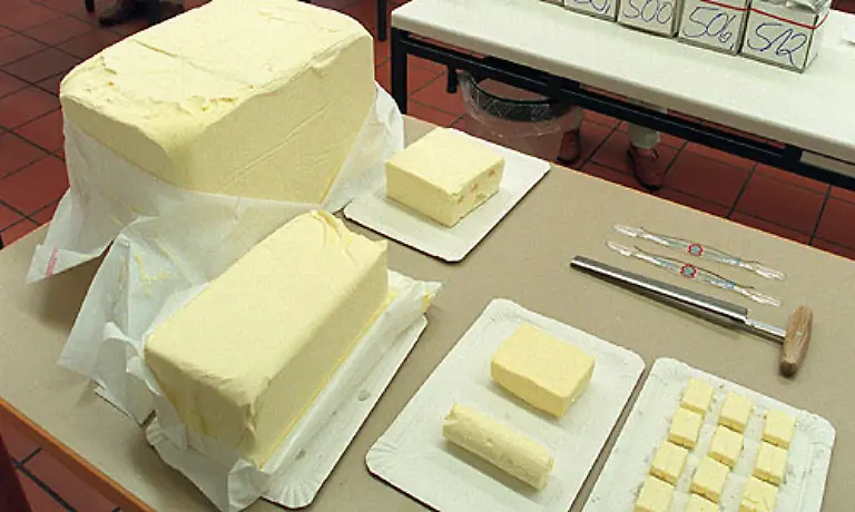 Um-sich-mit-Markenbutter-250-Gramm-einzudecken-waren-1960-39-Minuten-Arbeit-angesagt-1991-waren-es-nur-noch-sechs-Minuten-und-2007-fuenf-Minuten-Die-Butterberge-der-EU-machen-es-moeglich-obwohl-es-sie-ja-angeblich-nicht-mehr-gibt