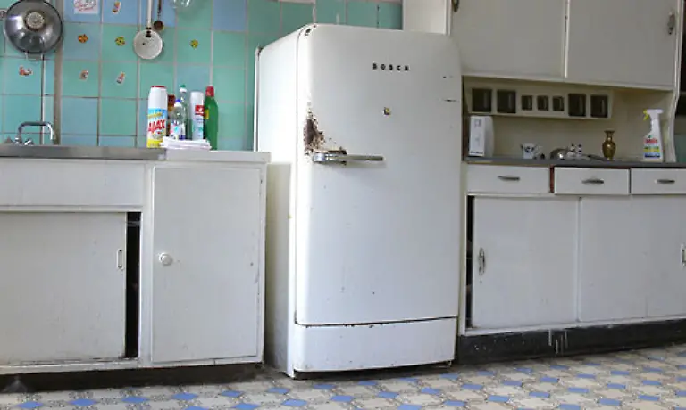Auch-ein-Kuehlschrank-ist-heute-unverzichtbar-156-Stunden-und-30-Minuten-war-1960-dafuer-zu-schuften-1991-nur-noch-30-Stunden-und-27-Minuten-2007-24-Stunden-und-zwoelf-Minuten-Billigware-aus-Fernost-machts-moeglich