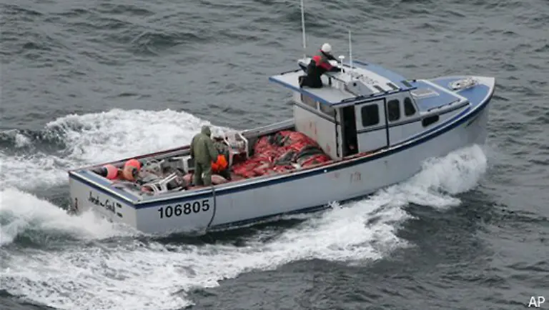 sowie-mit-sinkenden-Fischbestaenden