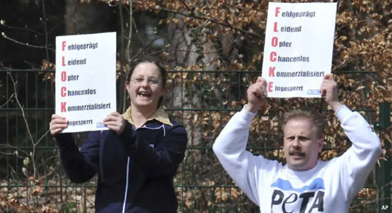 Aber-nicht-alle-fieberten-dem-Freigang-von-Flocke-entgegen
