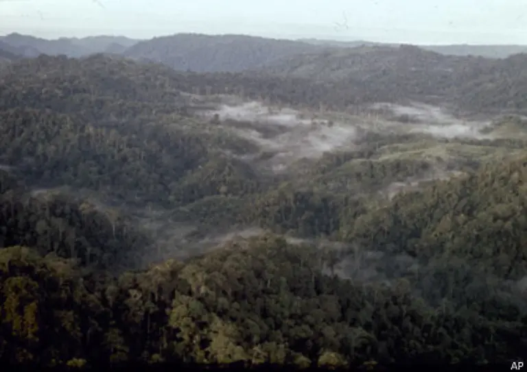 Eingriffe-in-die-Natur-oft-in-weiter-Ferne-wirken-sich-ebenfalls-auf-die-Riffe-aus