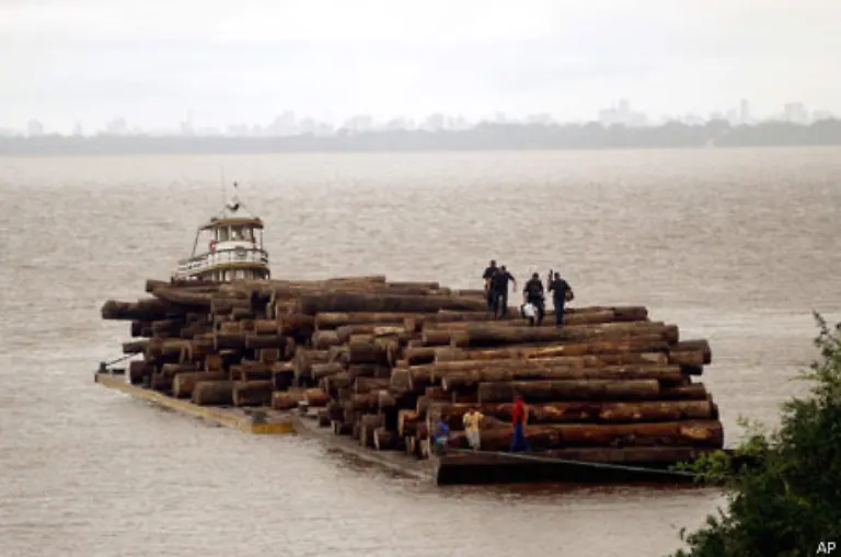 Durch-die-Abholzung-des-Regenwaldes-nimmt-die-Bodenerosion-zu-der-ausgewaschene-Schlamm-erstickt-die-Korallen-regelrecht-wenn-Stroemungen-ihn-nicht-wieder-abwaschen