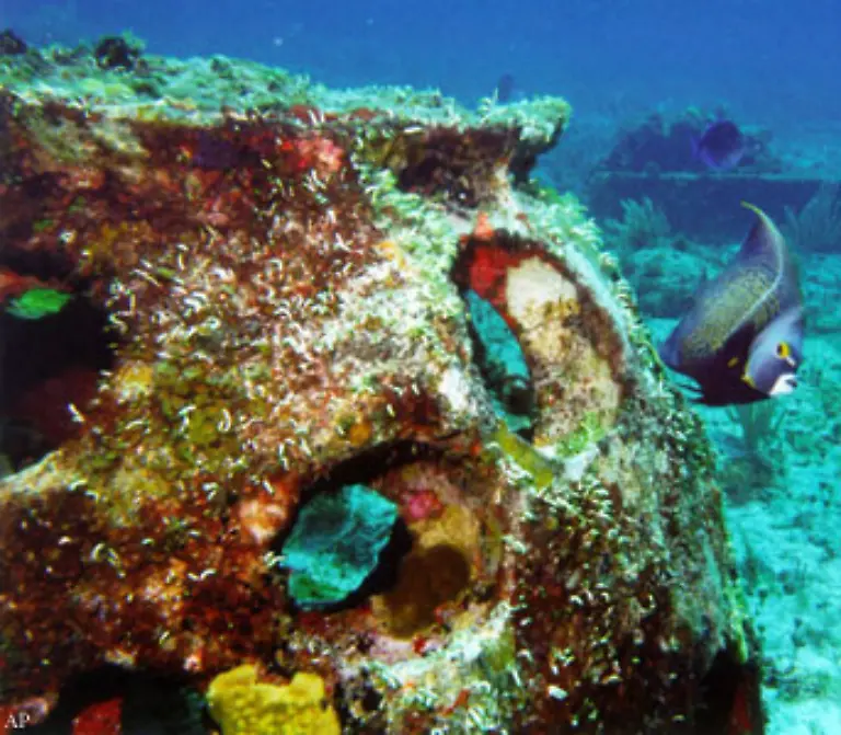 Nicht-zuletzt-wird-den-Korallenbaenken-ihre-oft-atemberaubende-Schoenheit-zum-Verhaengnis-immer-mehr-Menschen-reisen-zu-den-Riffen