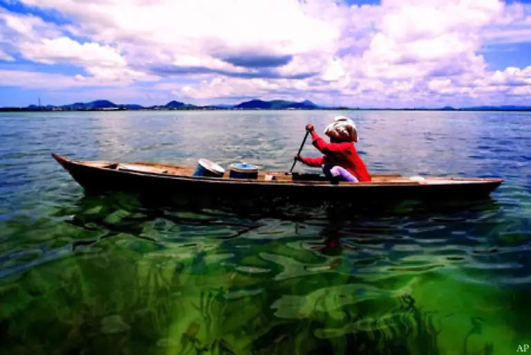 Die-weltweite-Souvenirindustrie-sorgt-dafuer-dass-Muscheln-und-Schnecken-direkt-aus-den-Riffen-gefischt-werden-um-sie-zu-Mitbringseln-zu-verarbeiten