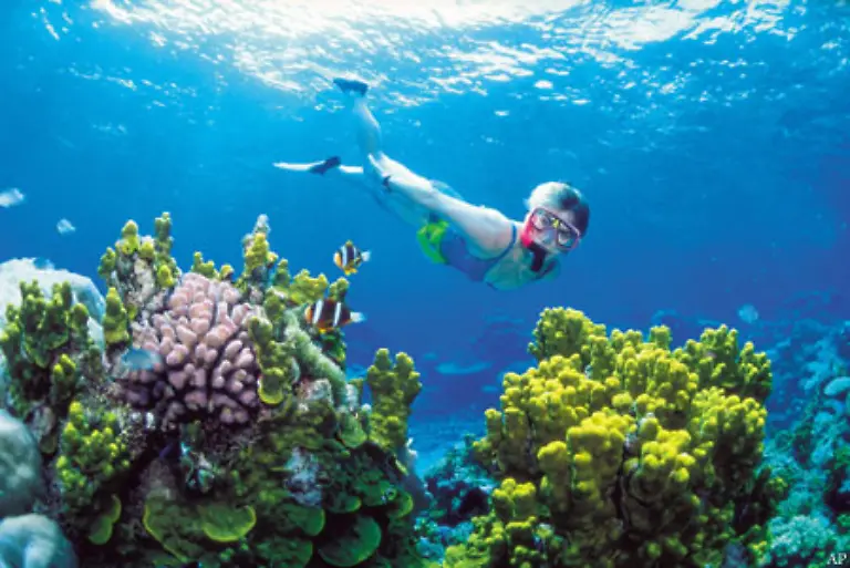 So-sind-die-Korallenriffe-die-es-seit-500-Millionen-Jahren-und-in-einfacheren-Formen-seit-drei-Milliarden-Jahren-gibt-inzwischen-vom-Aussterben-bedroht