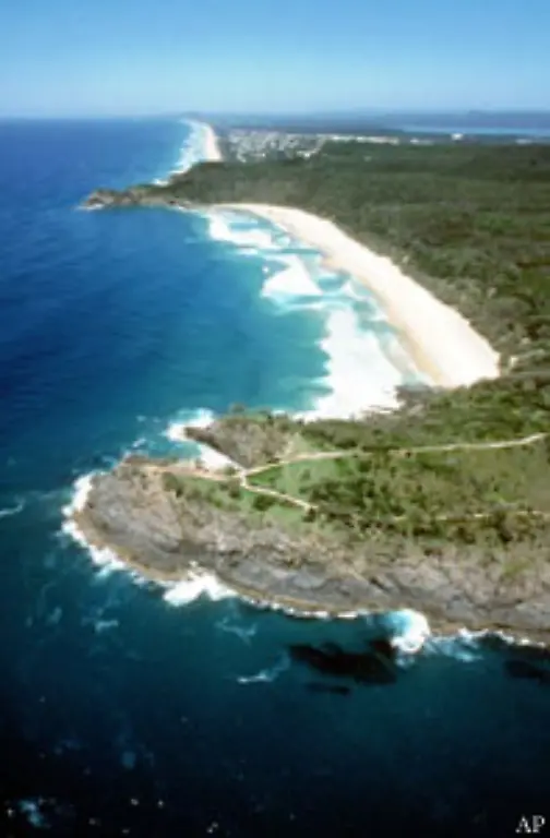 Es-gibt-drei-Arten-von-Riffen-so-genannte-Saumriffe-die-nahe-der-Kueste-wachsen-133