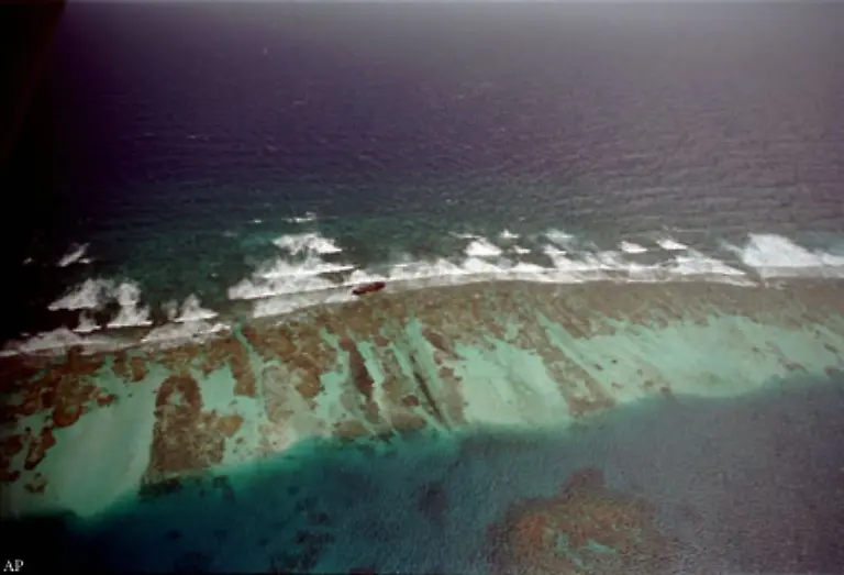 Die-oekologische-Bedeutung-der-Riffe-ist-aber-noch-vielfaeltiger