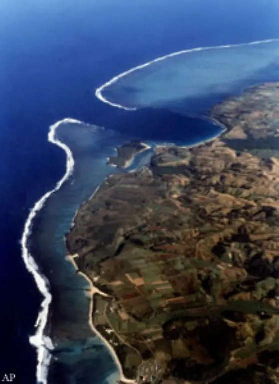 Faellt-diese-Aufzuchtstation-weg-wird-sich-das-auch-weit-entfernt-an-den-Weltmeeren-bemerkbar-machen