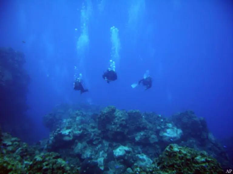 Erst-vor-20-Jahren-wurden-auch-Kaltwasserriffe-entdeckt-zum-Beispiel-vor-der-norwegischen-Kueste