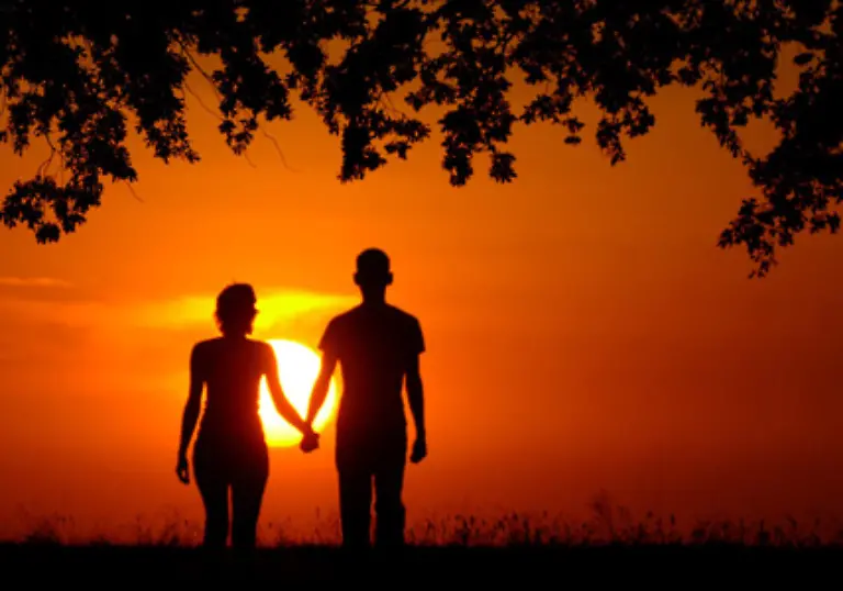 Andere-Koerperteile-werden-als-Aphrodisiakum-eingesetzt