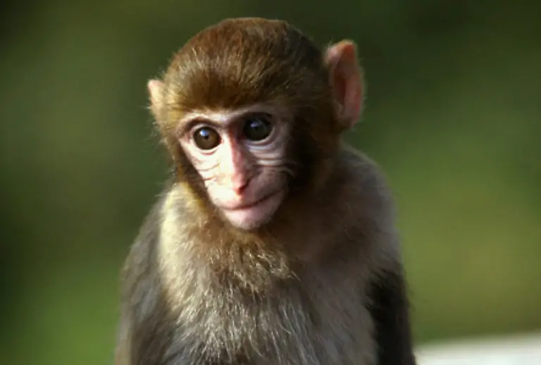 mit-Medikamenten-abgefuellt