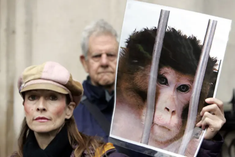 Um-die-Bevoelkerung-fuer-die-Not-dieser-Tiere-zu-sensibilisieren-wird-seit-1979-am-24-April-der-Welttag-des-Versuchstieres-begangen