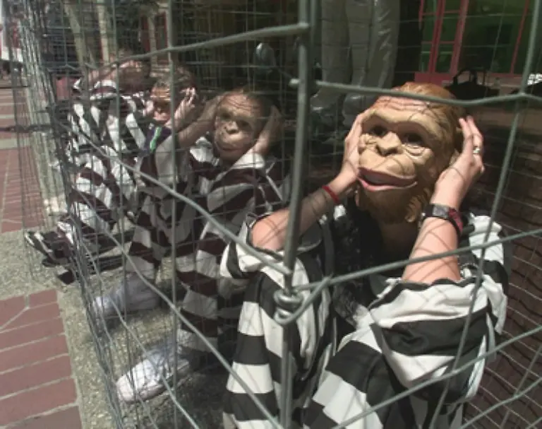 Die-Tierschuetzer-wollen-mit-der-Umbenennung-nicht-nur-passiv-an-die-Tiere-erinnern-sondern-eine-aktive-zielorientierte-Haltung-einnehmen