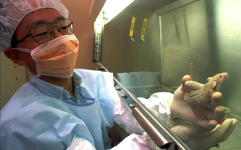 Eine-Vivisektion-ist-ein-nichttherapeutischer-Eingriff-am-lebenden-Koerper