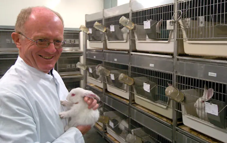 Der-Nutzen-aus-Tierversuchen-fuer-den-Menschen-ist-umstritten-Tierversuchsbefuerworter-gehen-von-einer-unabdingbaren-Notwendigkeit-der-Tierversuche-aus