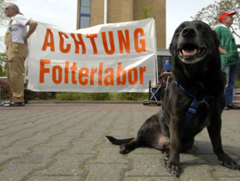 Tierschuetzer-bezeichnen-dieses-Argument-als-einen-Mythos-der-sich-nicht-auf-Fakten-sondern-auf-traditionelles-Denken-und-Glaubenssaetze-stuetzt