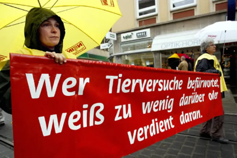80-Prozent-aller-Tierversuche-muessen-deshalb-den-Behoerden-auch-nur-angezeigt-werden-Lediglich-20-Prozent-unterliegen-einer-Genehmigungspflicht