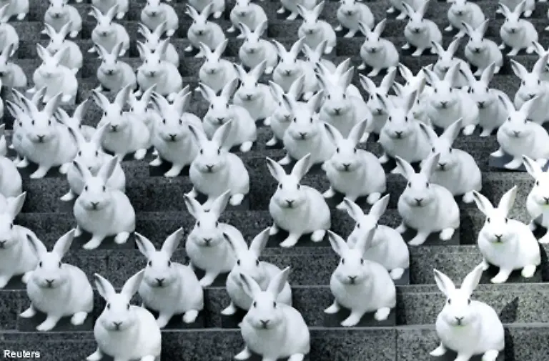 Tierschuetzer-versuchen-mit-verschiedenen-Aktionen-sowohl-die-Politiker-als-auch-Wissenschaftler-und-Endverbraucher-zu-erreichen