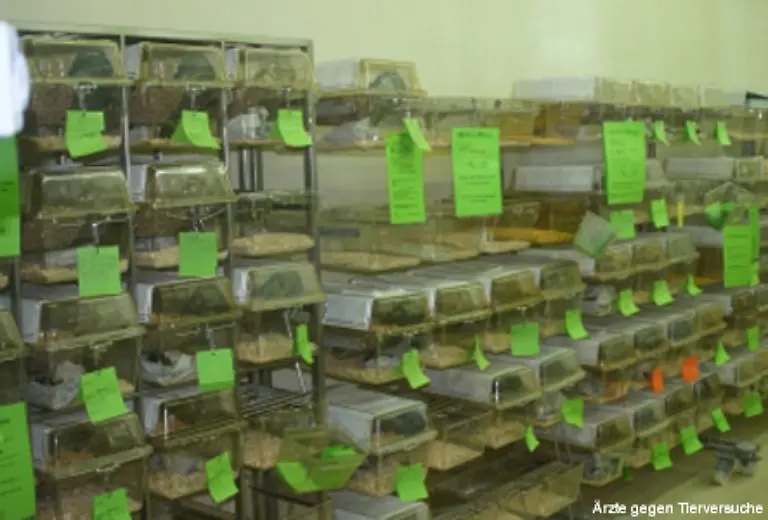 Tierversuchslabore-sind-meist-hoch-gesicherte-Einrichtungen-die-aus-gutem-Grund-die-Presse-meiden-Der-Schutz-der-Forschungsergebnisse-wird-fast-immer-als-Grund-dafuer-angegeben