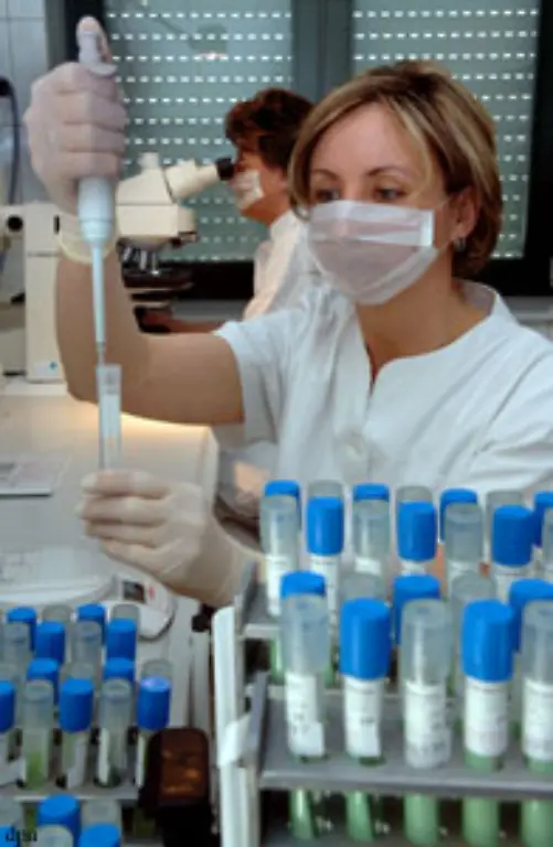 1-5-Millionen-Tuberkuloseopfer-gibt-es-im-Jahr-2006