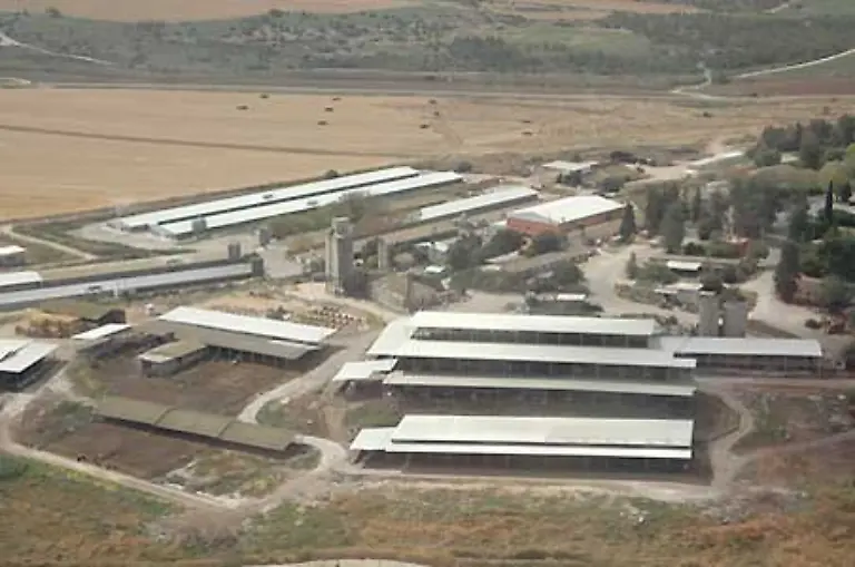 Typische-Kuhstaelle-in-einem-israelischen-Kibbuz