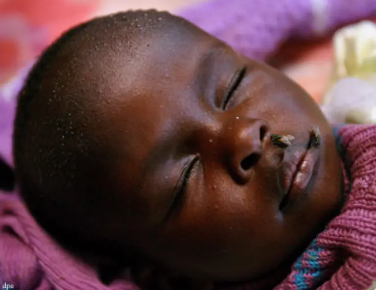 Moegliche-Folgen-Die-Infektionskrankheit-Malaria-koennte-nach-Deutschland-zurueckkehren