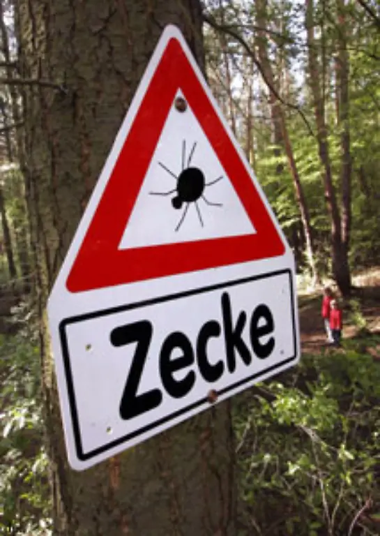 Hier-koennen-sich-die-Zeckenbisse-ausbreiten-so-der-Infektologe-bei-n-tv