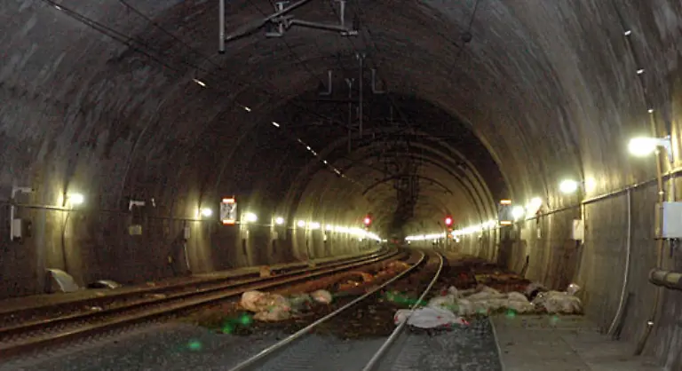 Etwa-50-Meter-vor-dem-Ausgang-traf-die-Muenchnerin-auf-die-Schafe-Erst-sah-man-nur-eine-Fleischmasse-spaeter-erkannte-ich-tote-Schafe-halbtote-Schafe-ein-paar-haben-auch-noch-gelebt-und-mich-angesehen
