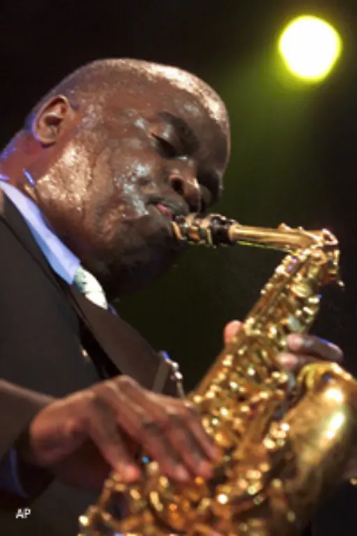 Kuenstler-wie-der-Saxophonist-Maceo-Parker-fuehren-diese-Instrumental-Technik-noch-heute-fort-Sie-haben-zwar-mit-James-Brown-gespielt-und-ihr-handwerkliches-Koennen-dabei-erweitert
