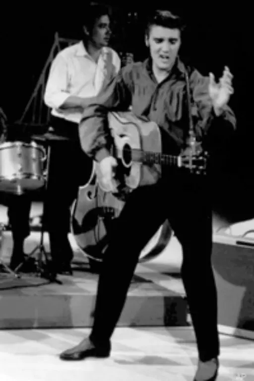 Was-Elvis-Presley-fuer-den-Rock-n-Roll-bedeutet