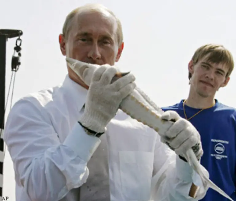 Wuerden-sie-in-einem-Referendum-ueber-Putins-Verbleib-an-der-Macht-entscheiden-koennen-muessten-die-Ergebnisse-nicht-einmal-gefaelscht-werden