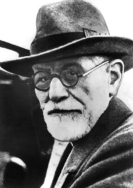 Es-folgen-zum-Beispiel-die-Buecher-des-Psychoanalytikers-Sigmund-Freud-133