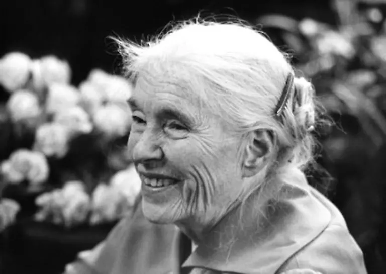 Anna-Seghers-schreibt-im-Exil-zwei-ihrer-wichtigsten-Romane-Das-siebte-Kreuz-und-Transit-In-der-DDR-wird-sie-Praesidentin-des-Schriftstellerverbandes-erhaelt-den-Nationalpreis-der-DDR