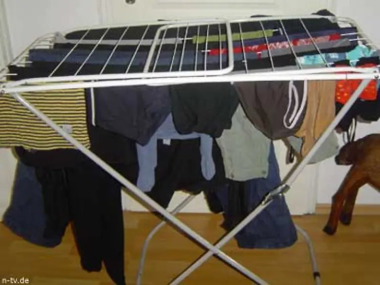 Pro-Person-werden-in-Haushalten-in-Deutschland-durchschnittlich-4-kg-Waesche-pro-Woche-gewaschen-getrocknet-und-teilweise-gebuegelt