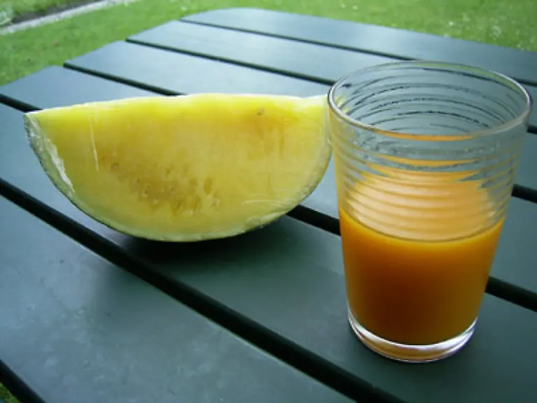 Waehrend-Kaffeemaschinen-noch-eine-gute-Ueberlebenschance-haben-duerfte-den-meisten-Entsaftern-die-Verbannung-aus-der-Kueche-sicher-sein-Gekauft-werden-sie-meist-aus-einem-kurzlebigen-Impuls-heraus-Man-will-sich-gesuender-ernaehren