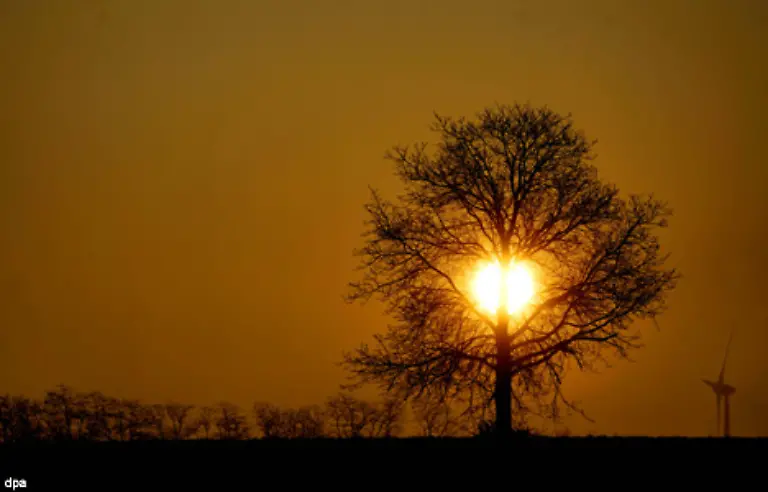 Um-zu-ueberleben-muessen-Pflanzen-und-Tiere-ihre-Grundbeduerfnisse-stillen-Nahrungs-Wasseraufnahme-und-Schutz-gehoeren-dazu-Pflanzen-benoetigen-zudem-Sonnenlicht