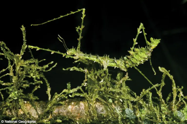Ein-beeindruckende-Auswahl-koennen-sich-Interessierte-im-neuen-Bildband-von-National-Geographic-ansehen