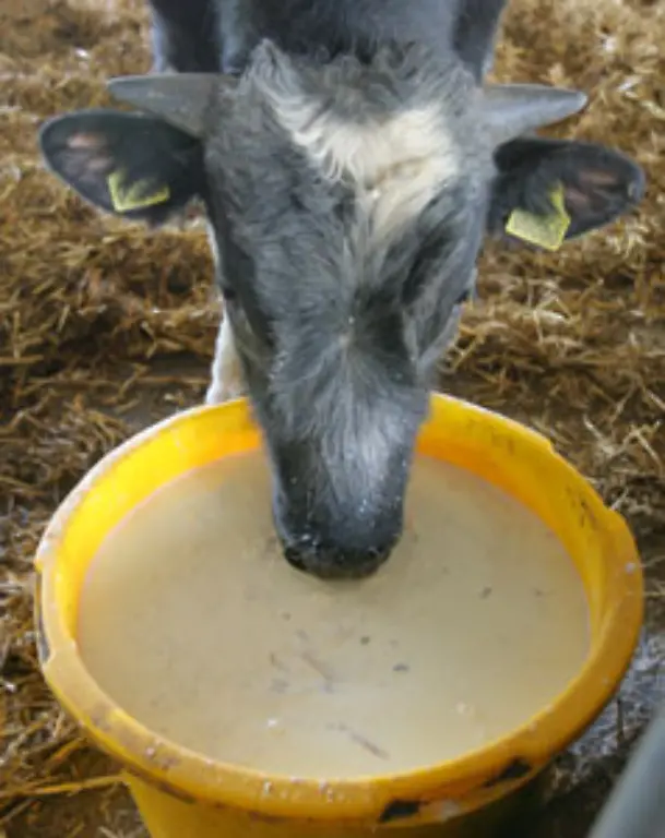 Ueber-400-000-Tonnen-Butter-wird-im-Schnitt-jaehrlich-in-Deutschland-hergestellt-so-der-Bauernverband