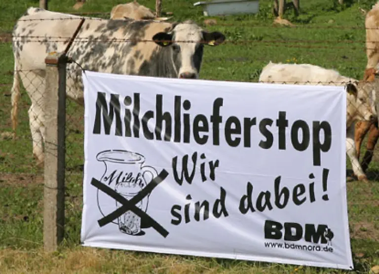 Schon-fuer-das-Wirtschaftsjahr-2008-2009-ist-eine-Erhoehung-der-Milchproduktion-um-zwei-Prozent-festgeschrieben-Dadurch-wuerde-das-Angebot-steigen-der-Milchpreis-koennte-weiter-sinken-Deutschland-hat-bereits-Protest-gegen-die-Plaene-angekuendigt