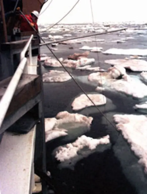 Damit-wollen-sie-eine-Ausweitung-ihrer-Seezonen-bei-den-UN-beanspruchen