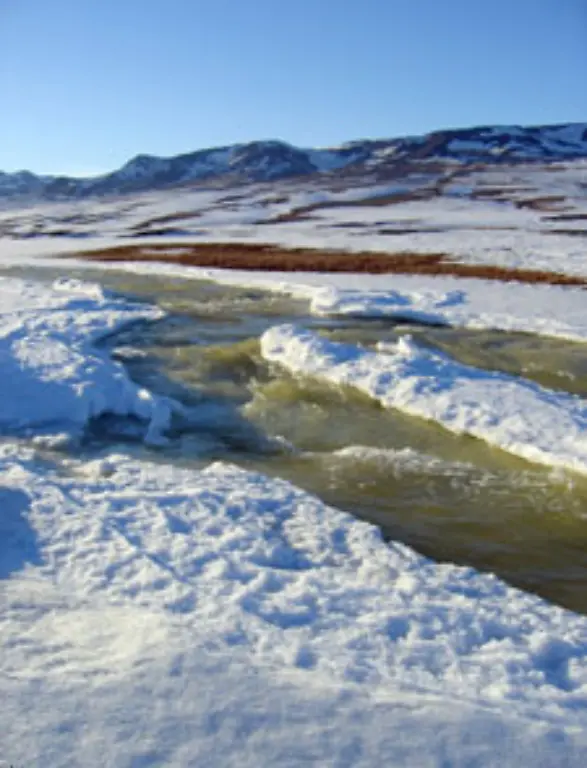 Zumal-der-rasante-Klimawandel-den-Zugang-zu-den-Rohstoffen-wesentlich-erleichtern-koennte