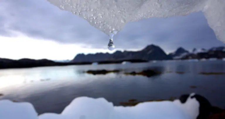 hier-verzeiht-die-Natur-Umweltsuenden-besonders-schwer-warnt-die-Umweltschutzorganisation-Greenpeace