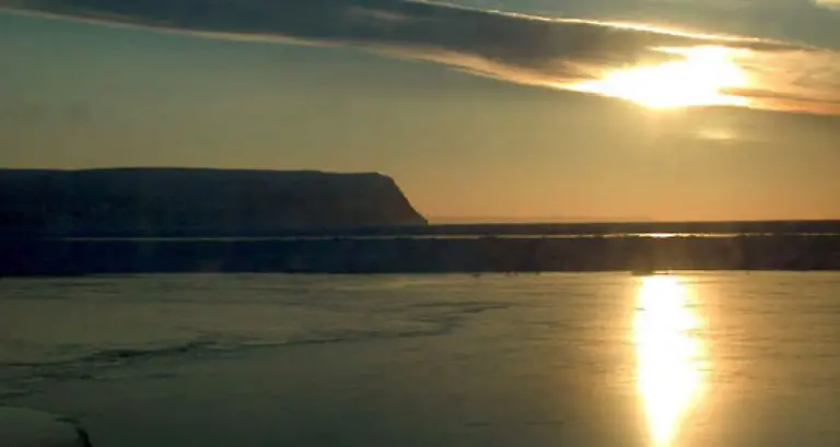 Fuer-viele-Bewohner-der-Arktis-wird-die-Eisschmelze-den-sicheren-Tod-bedeuten